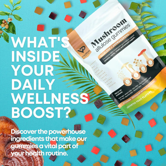 Sugar-Free Ashwagandha & Mushroom Gummies Supplement | 10 Functional Mushrooms Per Serving | Immune Support, Focus, Energy | Vegan, Keto, Low Carb, Allulose Sweetener | 80 Gummies, Natural Flavors