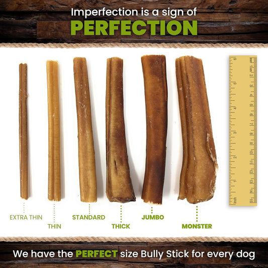 Sancho & Lola's Bully Sticks for Dogs 12" Thick (5 Count) Grain-Free, High-Protein Beef Pizzle Dog Chews