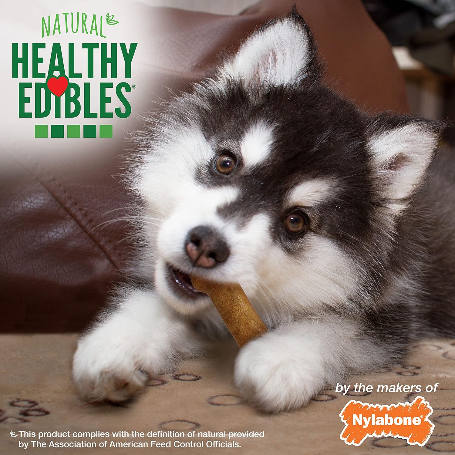 Nylabone Healthy Edibles Natural Puppy Chews Long Lasting Lamb & Apple Flavor Treats for Puppies, X-Small/Petite (4 Count) : Pet Supplies