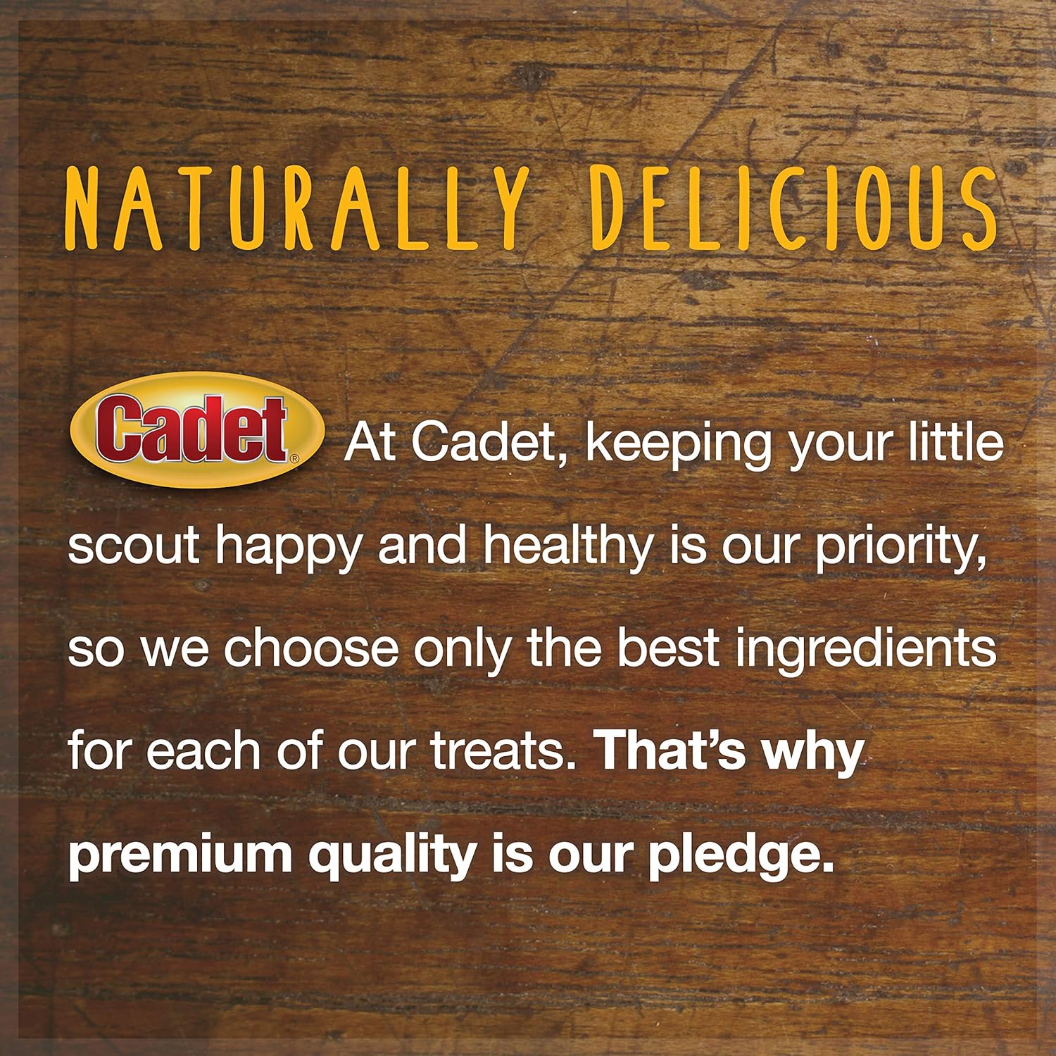 Cadet 100% Beef Sticks Dog Treats - Long-Lasting, Healthy & Natural Beef Esophagus Treats for Small & Large Dogs - Low Calorie & High Protein Dog Chews - Medium (10 Count) : Pet Supplies