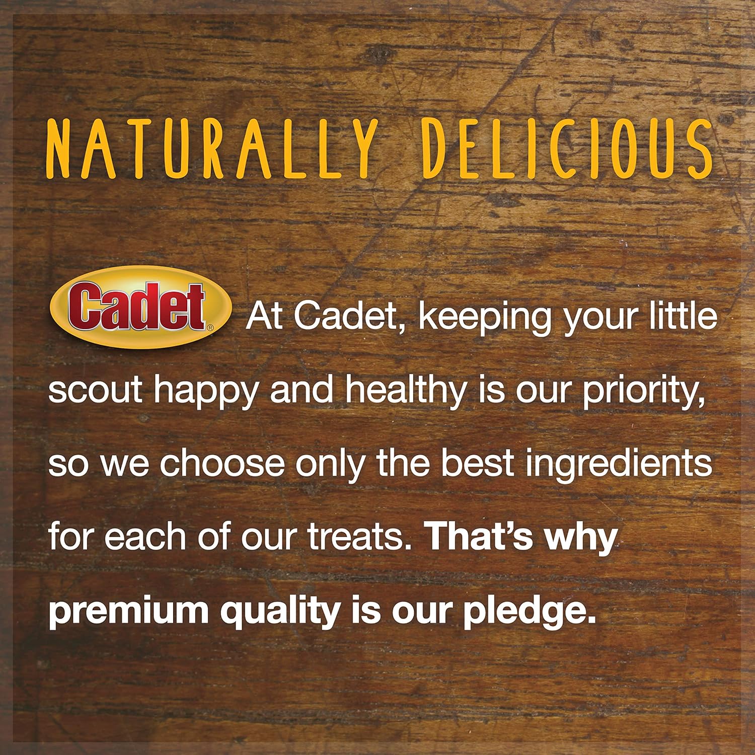 Cadet Beef Sticks Dog Treats - Long-Lasting, Healthy & Natural Beef Esophagus Treats for Small & Large Dogs, Low Calorie & High Protein Dog Chews (12 oz.) : Pet Supplies