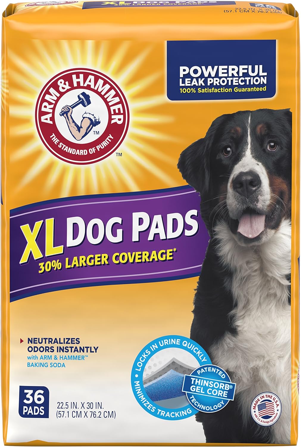 Arm & Hammer Large Pet Training and Puppy Pads 22.5-inch by 30-inch, 36-Count : Pet Supplies