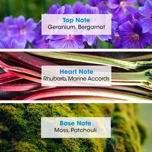 Boum Homme Urban Eau De Toilette - Spray Perfume For Men - Fruity Floral Scent - Notes Of Apple, Geranium, Bergamot- Made In France - 3.38 Fl.Oz