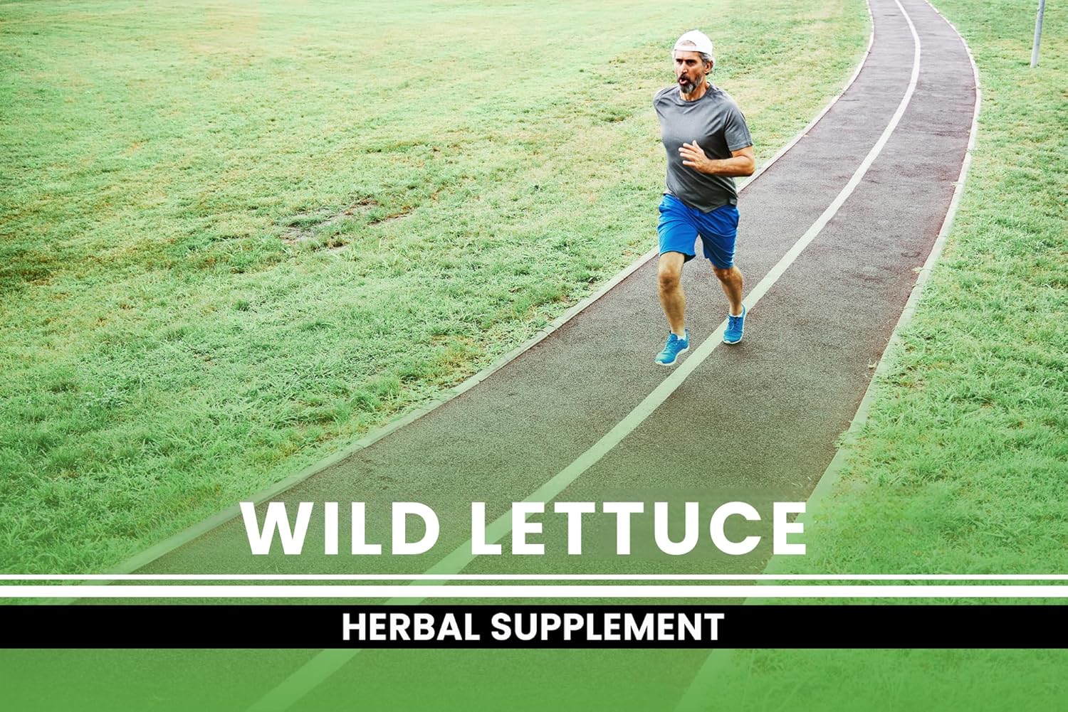 PURE ORIGINAL INGREDIENTS Wild Lettuce (365 Capsules) No Magnesium Or Rice Fillers, Always Pure, Lab Verified : Health & Household