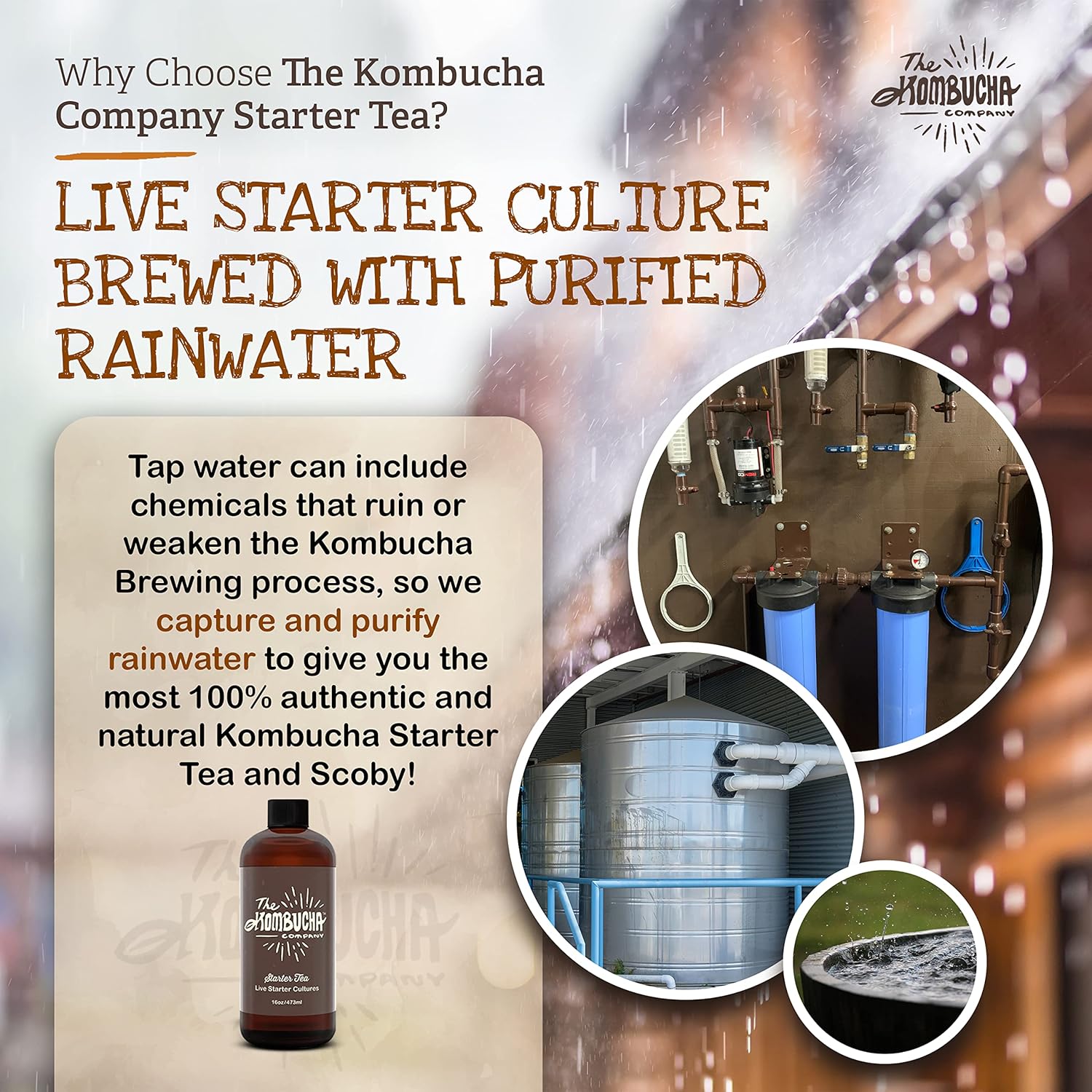 Kombucha Starter Tea | Grow Scoby From Scratch | 16 Oz Bottle | Live Cultures For Brewing 1 Gallon Of Homemade Kombucha Tea | By The Kombucha Company
