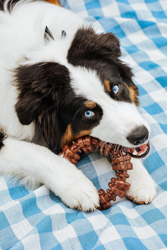 Nylabone Power Chew Textured Dog Chew Ring Toy, Dog Toys For Aggressive Chewers, Flavor Medley, X-Large/Souper (1 Count)