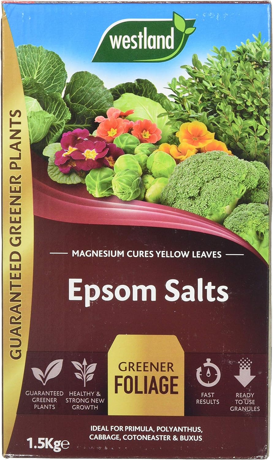 Westland 20600007 1.5 kg Epsom Salts Foliage Greener Fertilizer - Transparent?GF6280