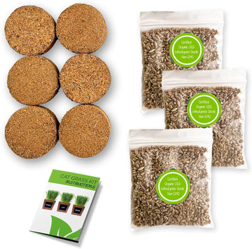 Organic Indoor Cat Grass Kit - 3 Wooden Planters, Certified Seeds, And Premium Soil For Happy Cats. Delight Your Feline Friends With The Ultimate Cat Grass Experience! (Catgrass Refill Kit)