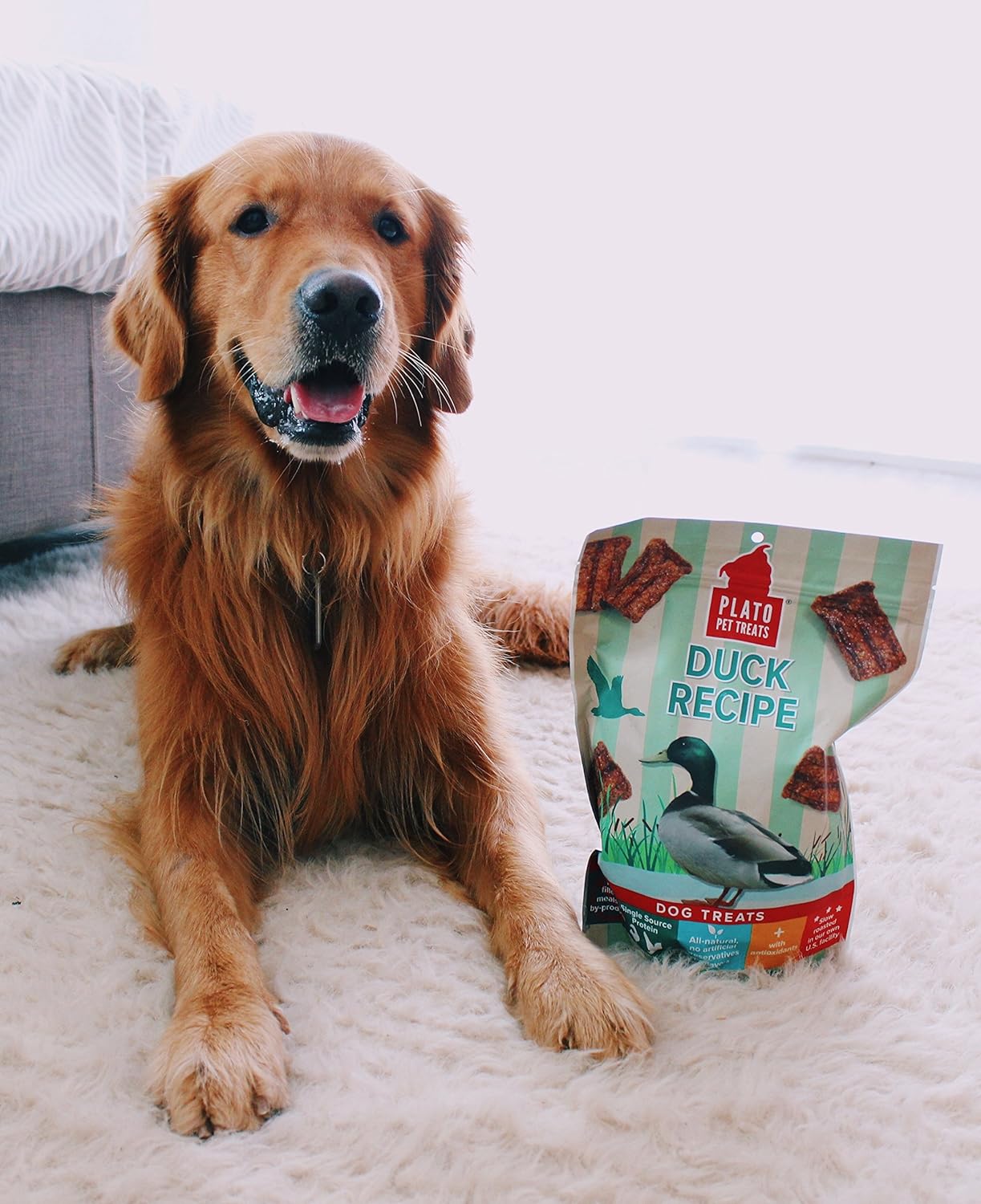 PLATO Original Real Strips Duck 6oz, brown : Pet Snack Treats : Pet Supplies