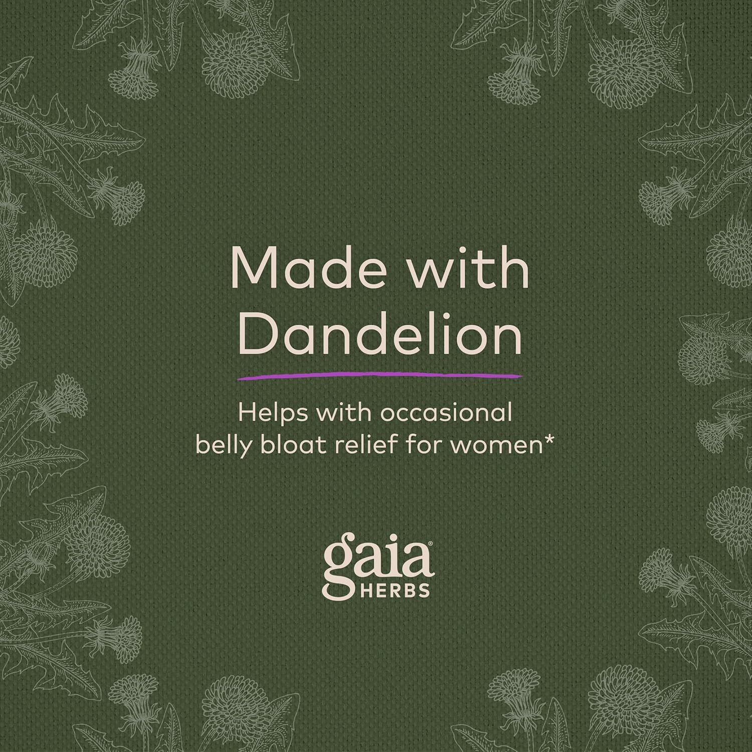 Gaia Herbs Bloat Support - Women's Health Supplement to Support Bloating & Digestion - Made with Dandelion Leaf, Burdock Root, Horsetail & More - 60 Vegan Capsules (30 Servings) : Health & Household