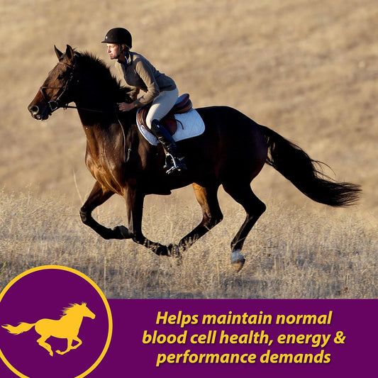 Farnam Horse Health Red Cell, Liquid Vitamin-Iron-Mineral Supplement For Horses, Helps Fill Important Nutritional Gaps In Horse'S Diet, 1 Gallon, 128 Oz., 64-Day Supply