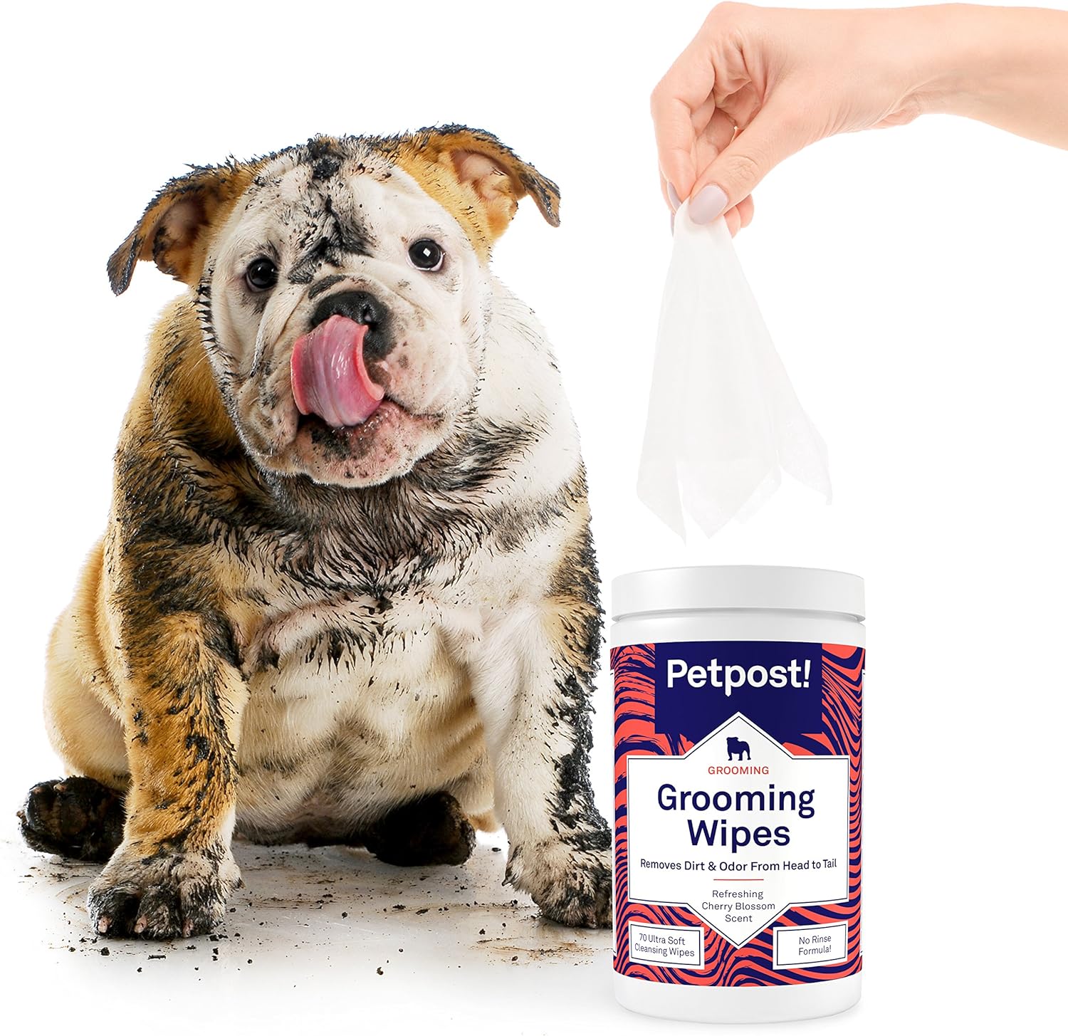 Petpost | Grooming Wipes for Dogs - Large, Deodorizing Wipes with Cherry Blossom Scent - 70 Ultra Soft Cotton Pads in Cleansing Solution - Cherry Blossom Scent 70 ct