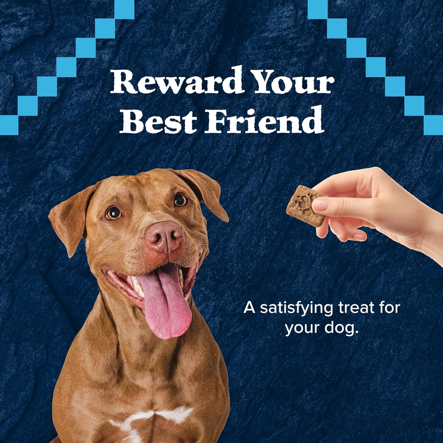 Blue Buffalo Wilderness Trail Treats High Protein Grain Free Dog Biscuits Crunchy Dog Treats, Duck Recipe, 10-oz Bag : Pet Treat Biscuits : Pet Supplies