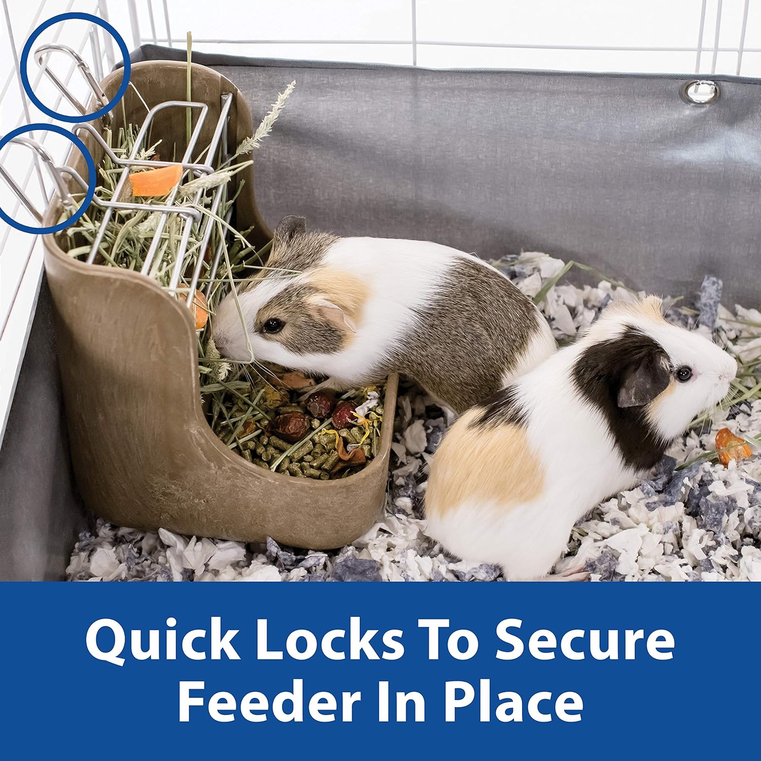 Kaytee Hay & Food Bin Feeder With Quick Locks For Pet Rabbits, Chinchillas, Guinea Pigs and Other Small Animals : Pet Self Feeders : Pet Supplies