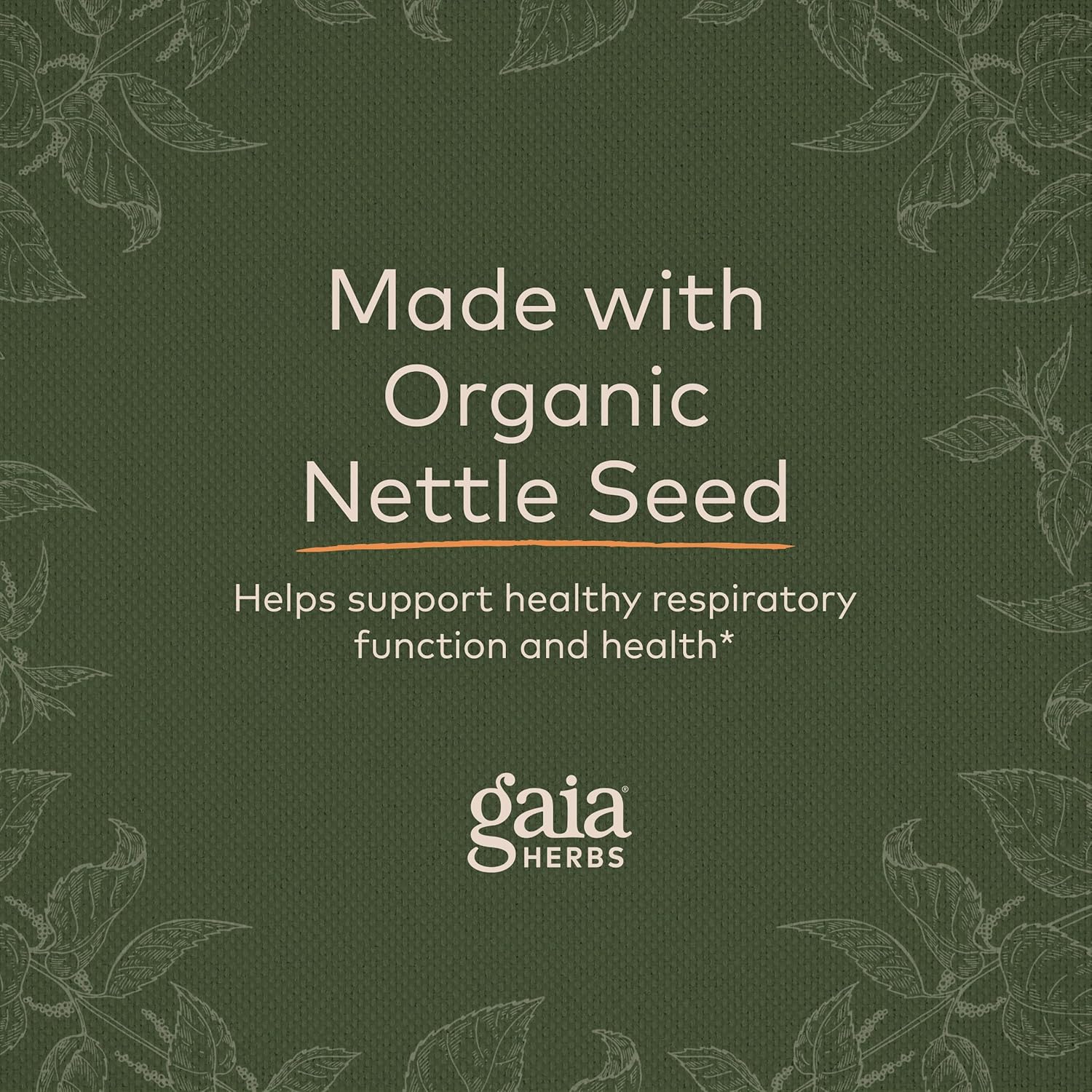 Gaia Herbs Sinus Comfort - Respiratory & Immune Support Supplement to Promote Healthy Sinuses* - with Nettle, Peppermint Leaf Oil, Holy Basil, Yarrow, Plantain & Bayberry - 2 Fl Oz (30-Day Supply) : Health & Household