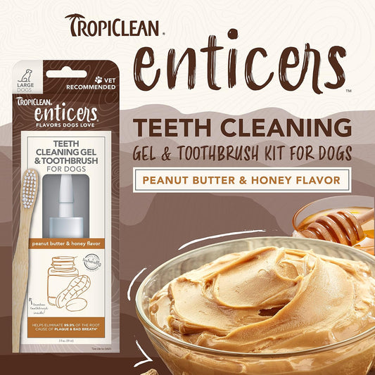 TropiClean Enticers Teeth Cleaning Gel & Toothbrush for Large Dogs - Peanut Butter & Honey Flavour, 59ml - Helps Remove The Source of Bad Breath and Plaque - Bamboo Brush Speeds Up Plaque RemovalENPHCLKT2Z-LG