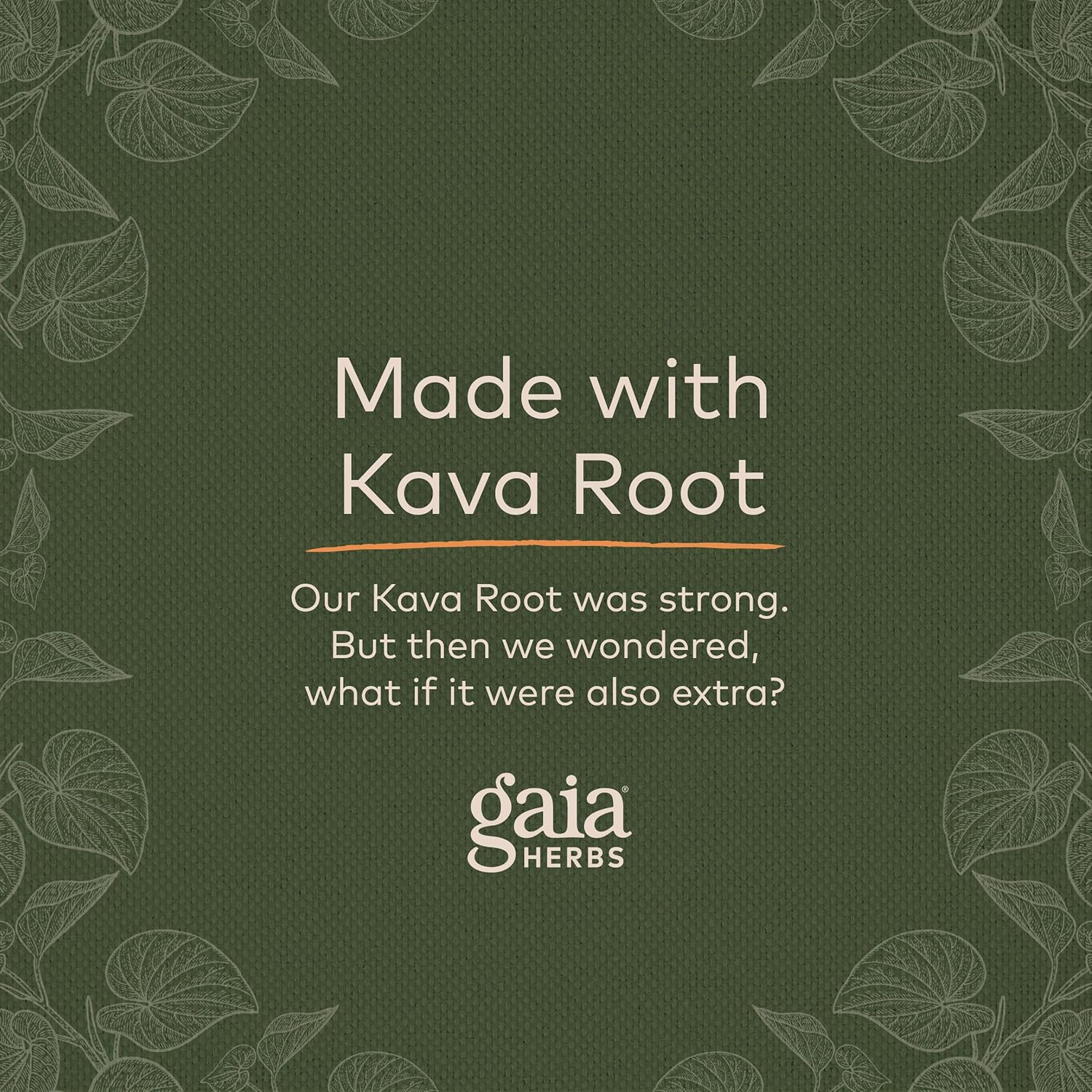Gaia Herbs Kava Root Extra Strength - Helps Sustain a Sense of Natural Calm, Relaxation,* and Emotional Wellness During Times of Stress - Made with Noble Kava Cultivars - 1 Fl Oz (20-Day Supply) : Health & Household