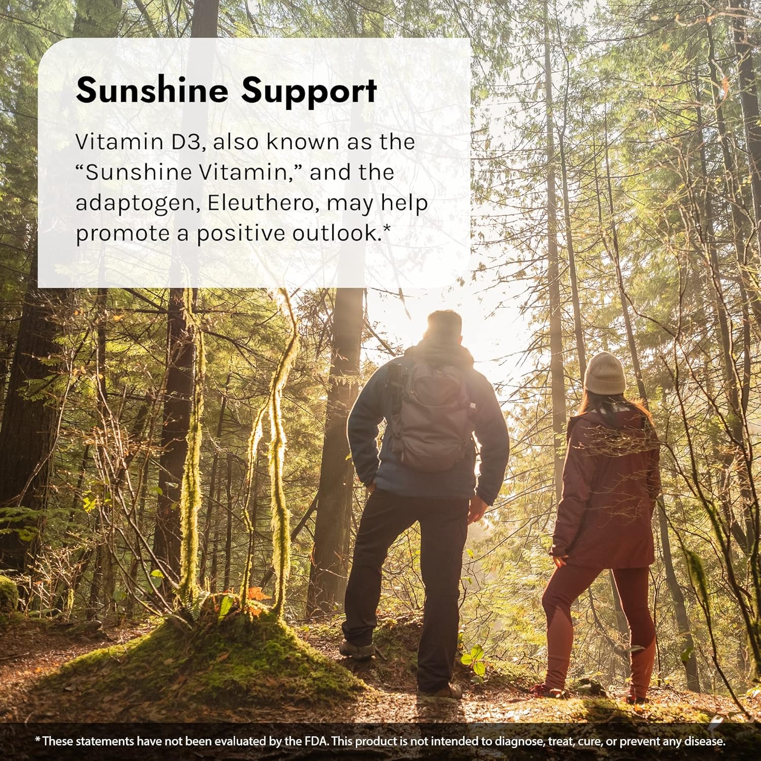 Irwin Naturals High Potency Mega D3 & K2 + Turmeric Extract - 60 Liquid Soft-Gels, Pack of 3 - Healthy Bones & Immune Function - 90 Total Servings : Health & Household