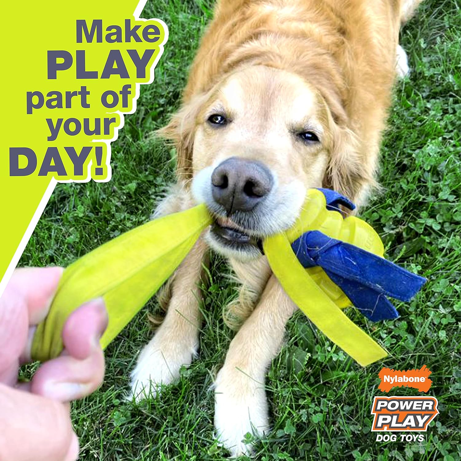 Pet Supplies : Nylabone Power Play Soccer Ball Gripz Fetch Toy, Squeaky Ball Chew Toy for Dogs, Medium (1 Count) : Amazon.com
