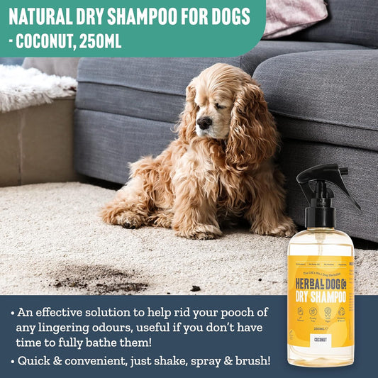 Herbal Dog Co Natural Dry Shampoo for Dogs & Puppies - Coconut, 250ml - Dog Grooming Dog Perfume & Conditioner - Hypoallergenic, Vegan, Made in UK?Coconut