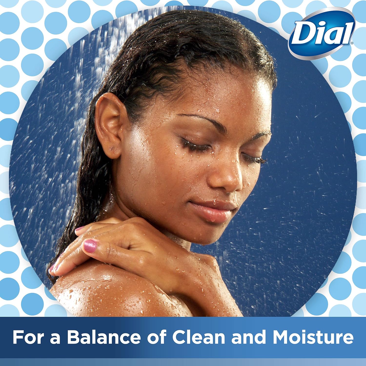 Dial Body Wash, Silk & Magnolia, 23 fl oz (Pack of 3) : Beauty & Personal Care