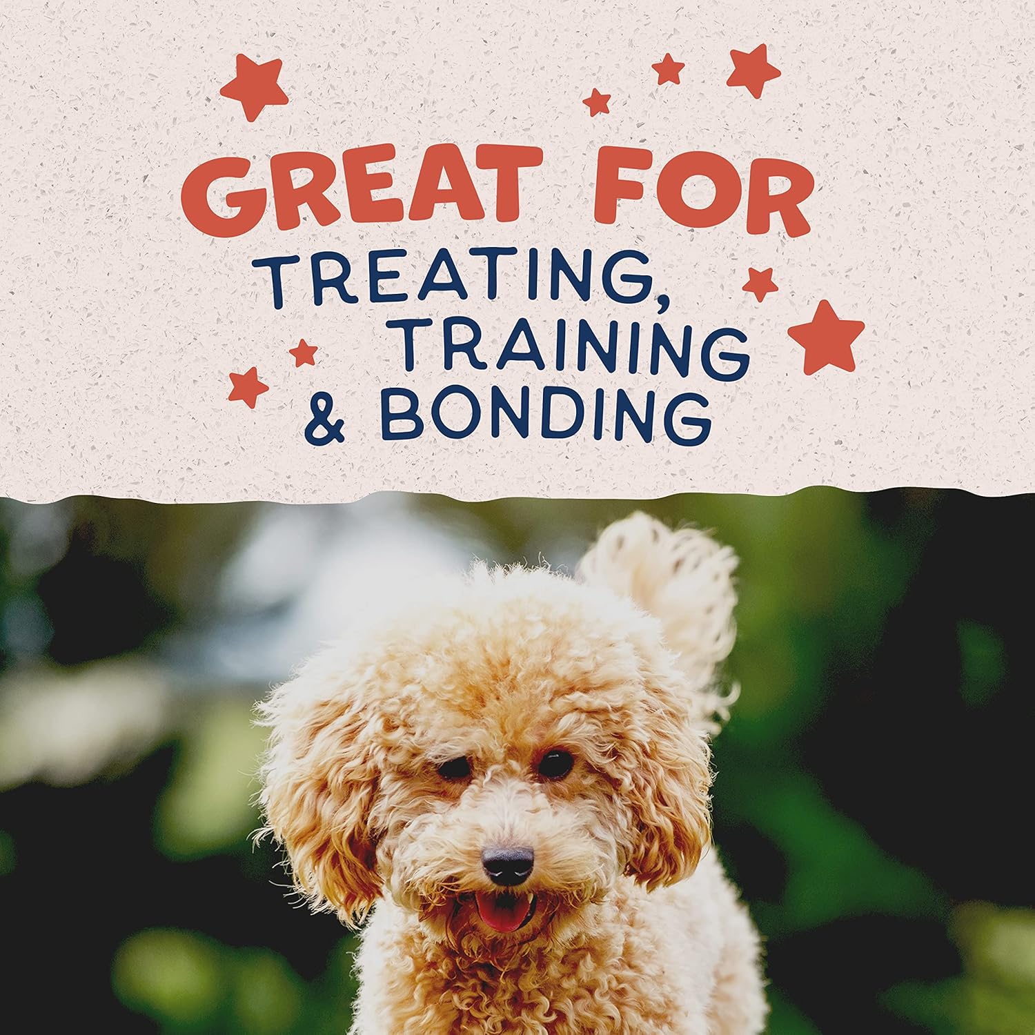 Natural Balance Limited Ingredient Mini-Rewards Salmon Grain-Free Dog Training Treats for Dogs | 5.3-oz. Canister, Brown : Pet Supplies