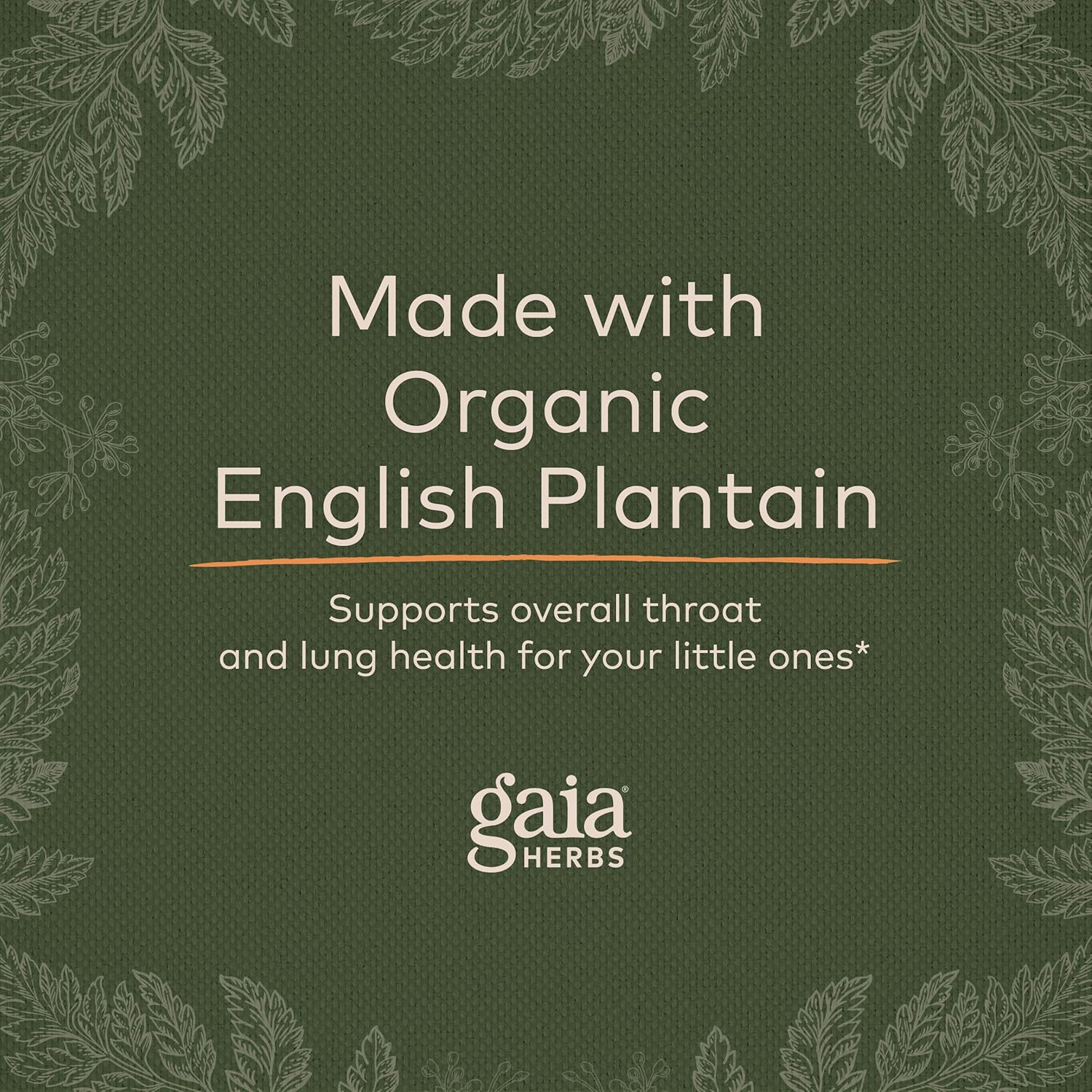 Gaia Kids Bronchial Wellness Syrup - Immune Support Supplement - Overall Throat & Lung Health Support - Certified Organic Formula with English Plantain, Grindelia & Honey - 3 Fl Oz (18 Servings) : Health & Household