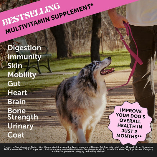 Pet Honesty Multivitamin Dog Supplement, Glucosamine Chondroitin For Dogs, Probiotics, Omega Fish Oil, Dog Supplements & Vitamins, Dog Vitamins For Skin And Coat Allergies, (Peanut Butter 90 Ct)