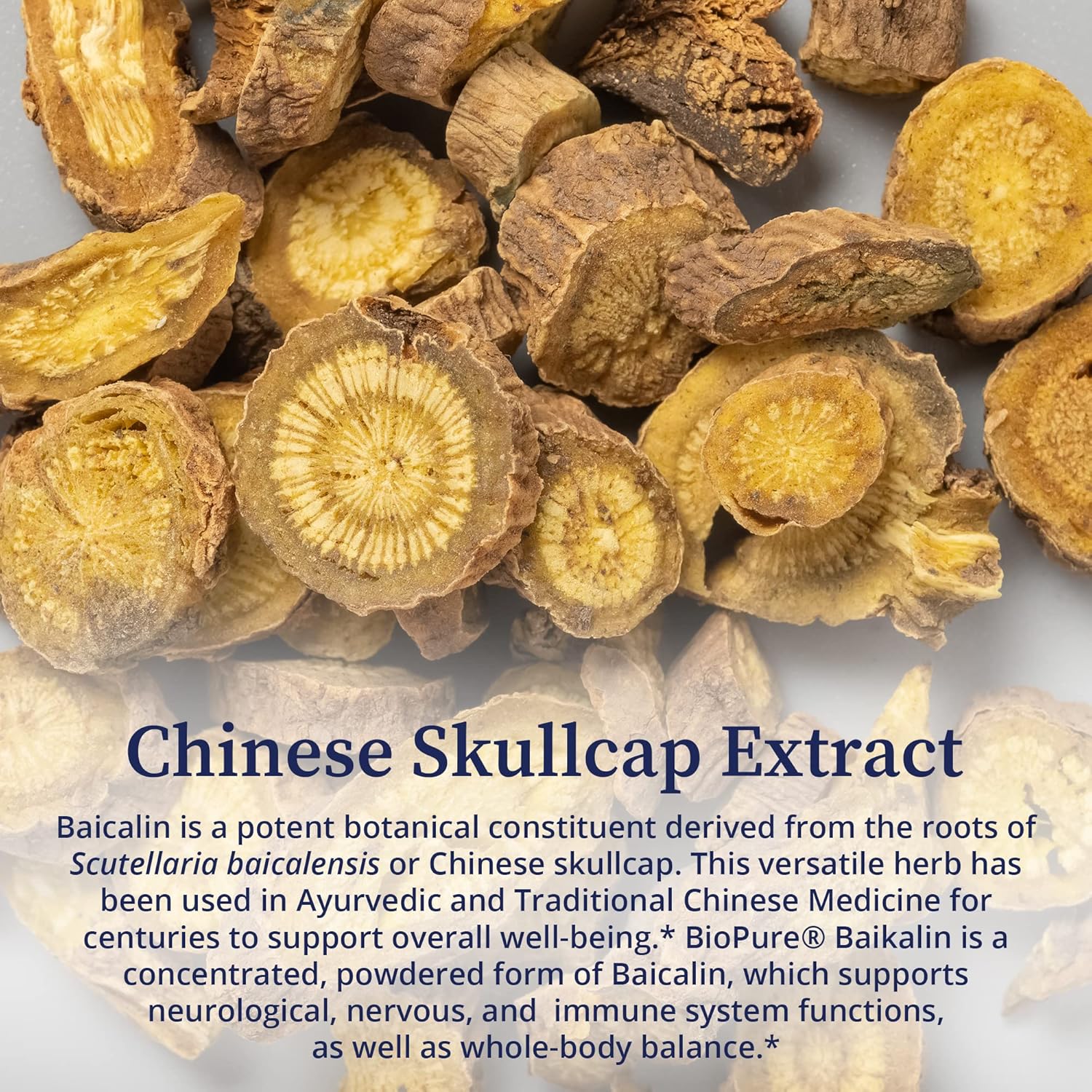 Biopure Baikalin Powder - Baiscalin Herb Extract From Roots Of Chinese Skullcap To Support Neurological, Nervous, & Immune System, Stress Management, And Whole Body Balance And Wellness – 50G : Health & Household