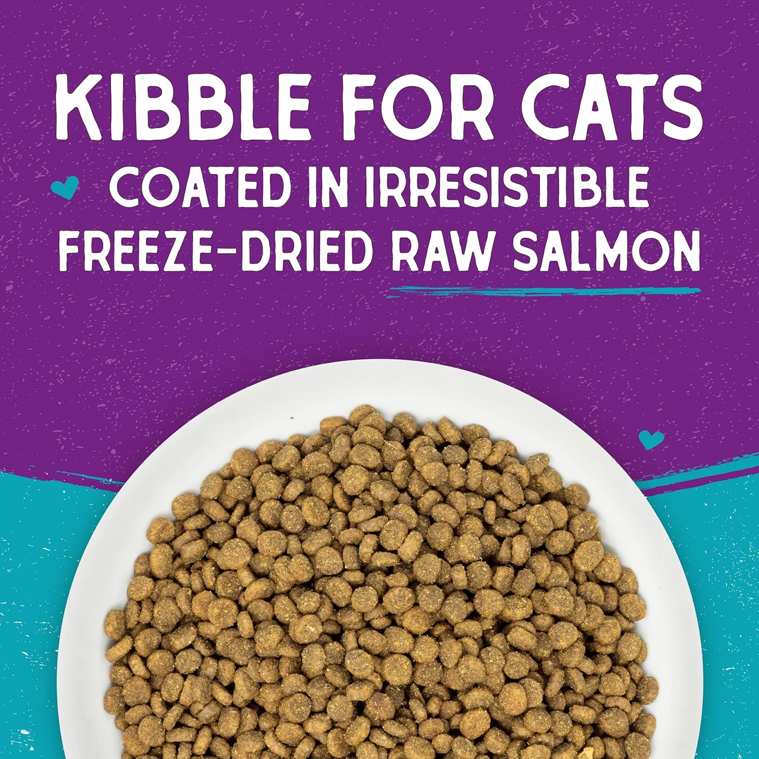 Stella & Chewy's Raw Coated Premium Kibble Cat Food – Grain Free, Protein Rich Meals – Wild Caught Salmon Recipe – 2.5 lb. Bag : Pet Supplies