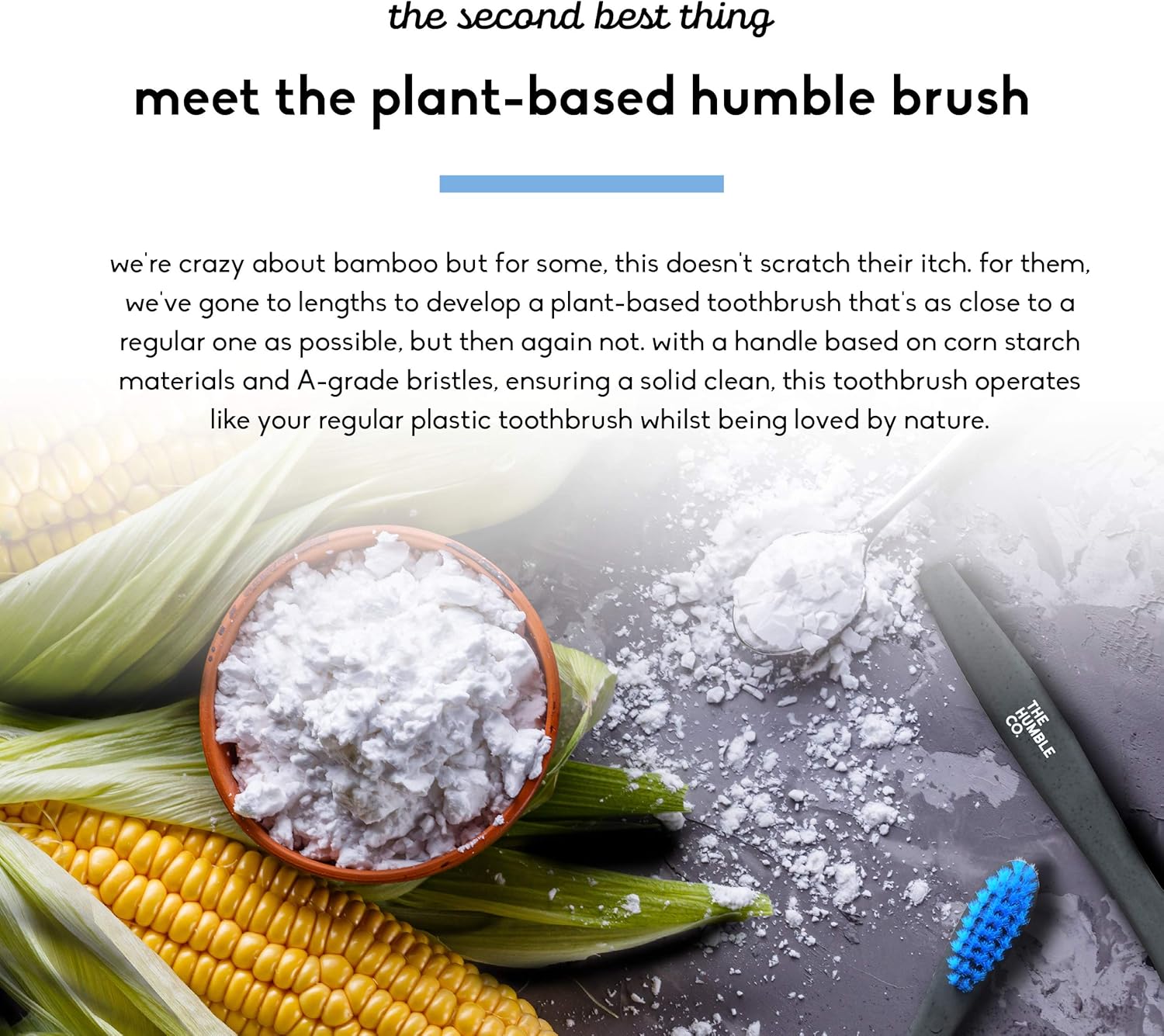 THE HUMBLE CO. - Adult Black Toothbrush - Sensitive Bristles - Developed by Dentists - Plant-Based Materials - 100% Recyclable for Eco-Friendly Oral Care - 1 Pack with 2 Toothbrushes : Amazon.co.uk: Health & Personal Care