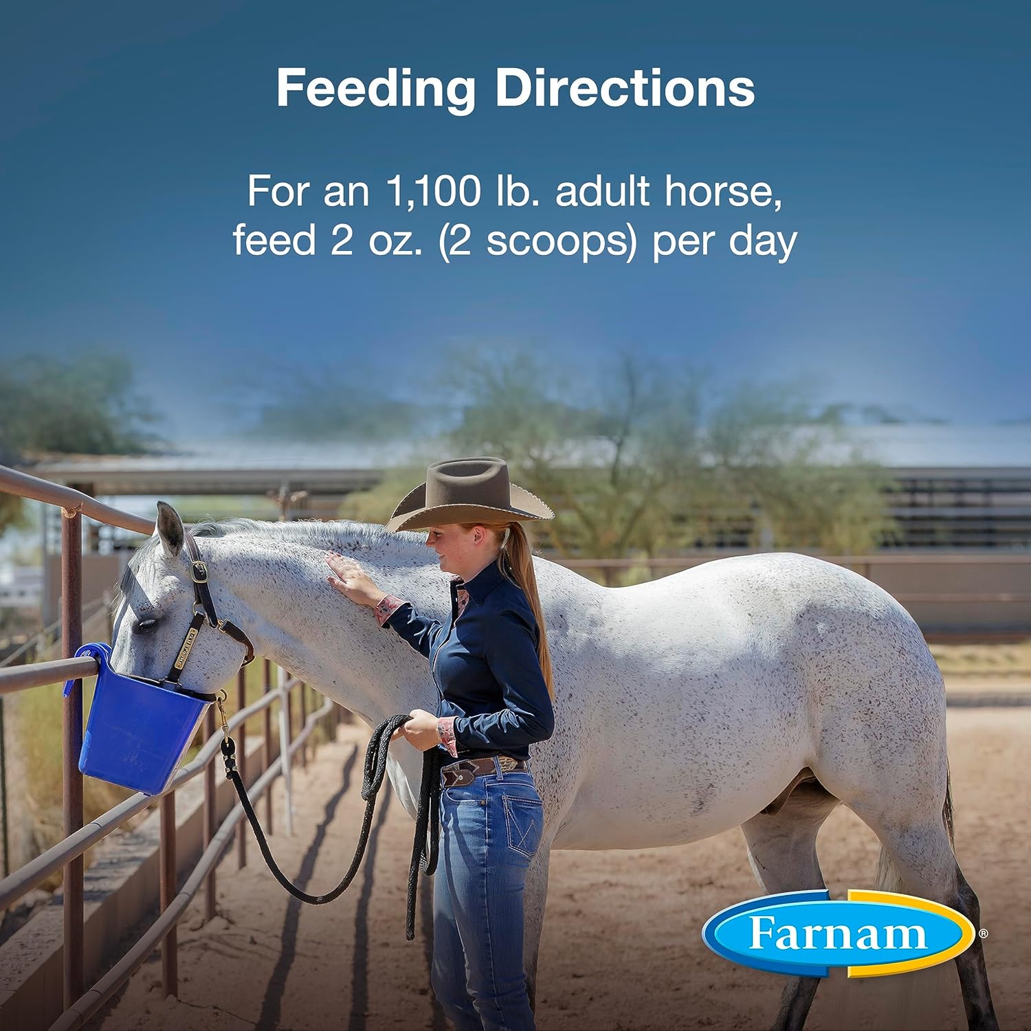 Farnam Horseshoer'S Secret Pelleted Hoof Supplements Concentrate, Economic Formula With 25 Mg. Of Biotin Per 2 Ounce Serving, 11.25 Lb, 90 Day Supply : Horse Nutritional Supplements And Remedies : Pet Supplies