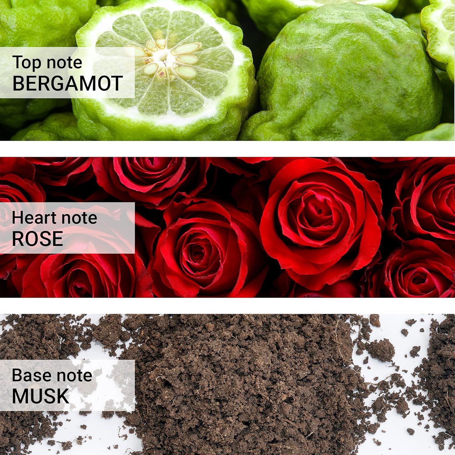 Carrera Jeans 700 Uomo Original Eau De Toilette For Men, 2.53 Fl Oz : Beauty & Personal Care