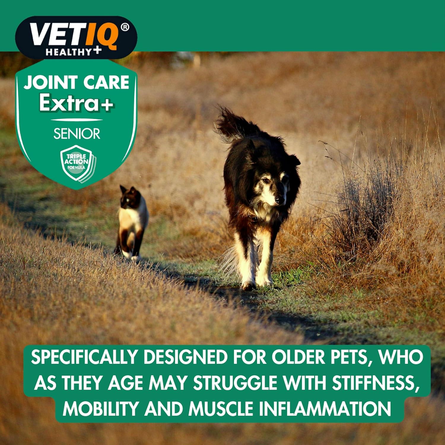 VETIQ Joint Care Extra + Senior For Cats & Dogs 7+ Years, Supplements to Help Improve Mobility, Aid Joints & Ease Stiffness, 45 Tablets :Pet Supplies
