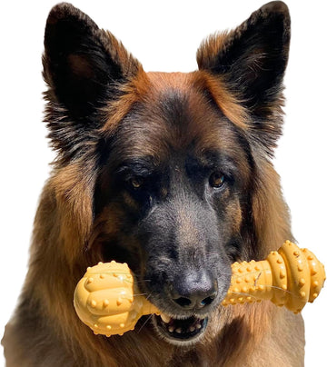 Nylabone Barbell Power Chew Durable Dog Toy Peanut Butter Xx-Large/Monster (1 Count)