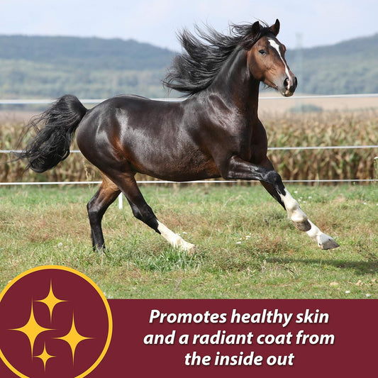 Farnam Laser Sheen Skin & Coat Supplement For Horses, Promotes Healthy Skin & Radiant Coat From The Inside Out, 7.5 Pound, 60 Day Supply