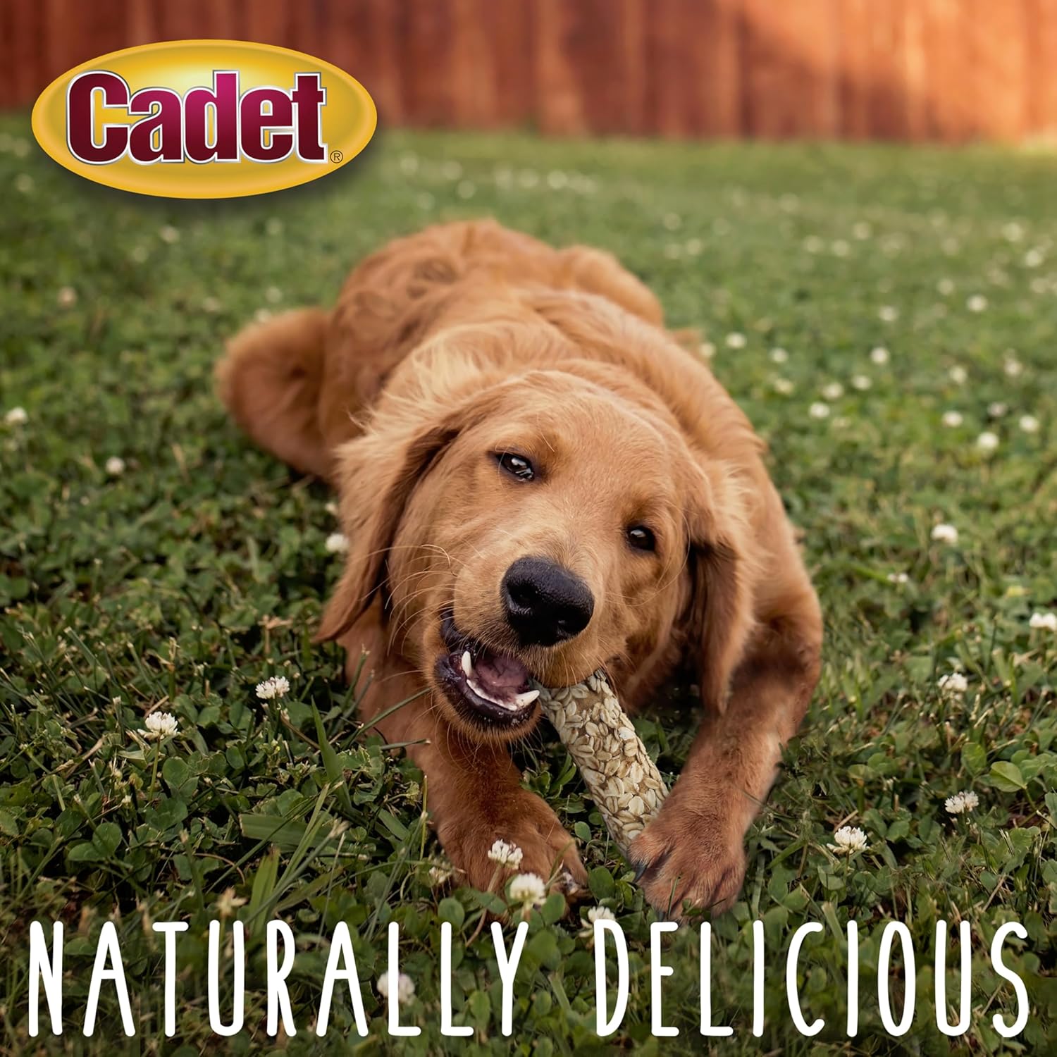 Cadet Smart Hide Rawhide Free Dog Treats – Oat Coated, 2 Count : Pet Supplies