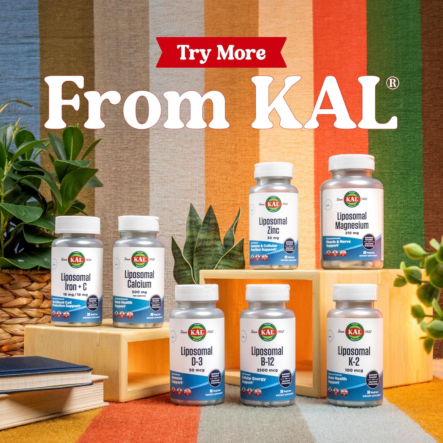 KAL Liposomal Multivitamin - High Potency Liposomal Vitamin C, D-3, and More - Men and Women Multivitamin for Cardiovascular and Nervous System Support - 30 Servings, 60 VegCaps : Health & Household