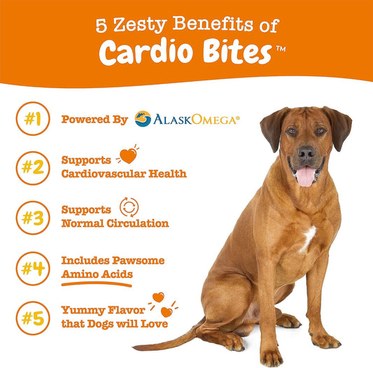 Zesty Paws Cardiovascular Support For Dogs - Taurine For Dogs, Coq10 For Dogs, L Carnitine & Sea Buckthorn For Senior Dog Heart Health - Alaskomega Fish Oil Omega 3 - Salmon - 90 Count