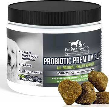 Probiotics for Dogs with Natural Digestive Enzymes ? 4 Bill CFUs/2 Soft Chews ? Dog Diarrhea Upset Stomach Yeast Gas Bad Breath Immunity Allergies Skin Itching Hot Spots ? 60 Count