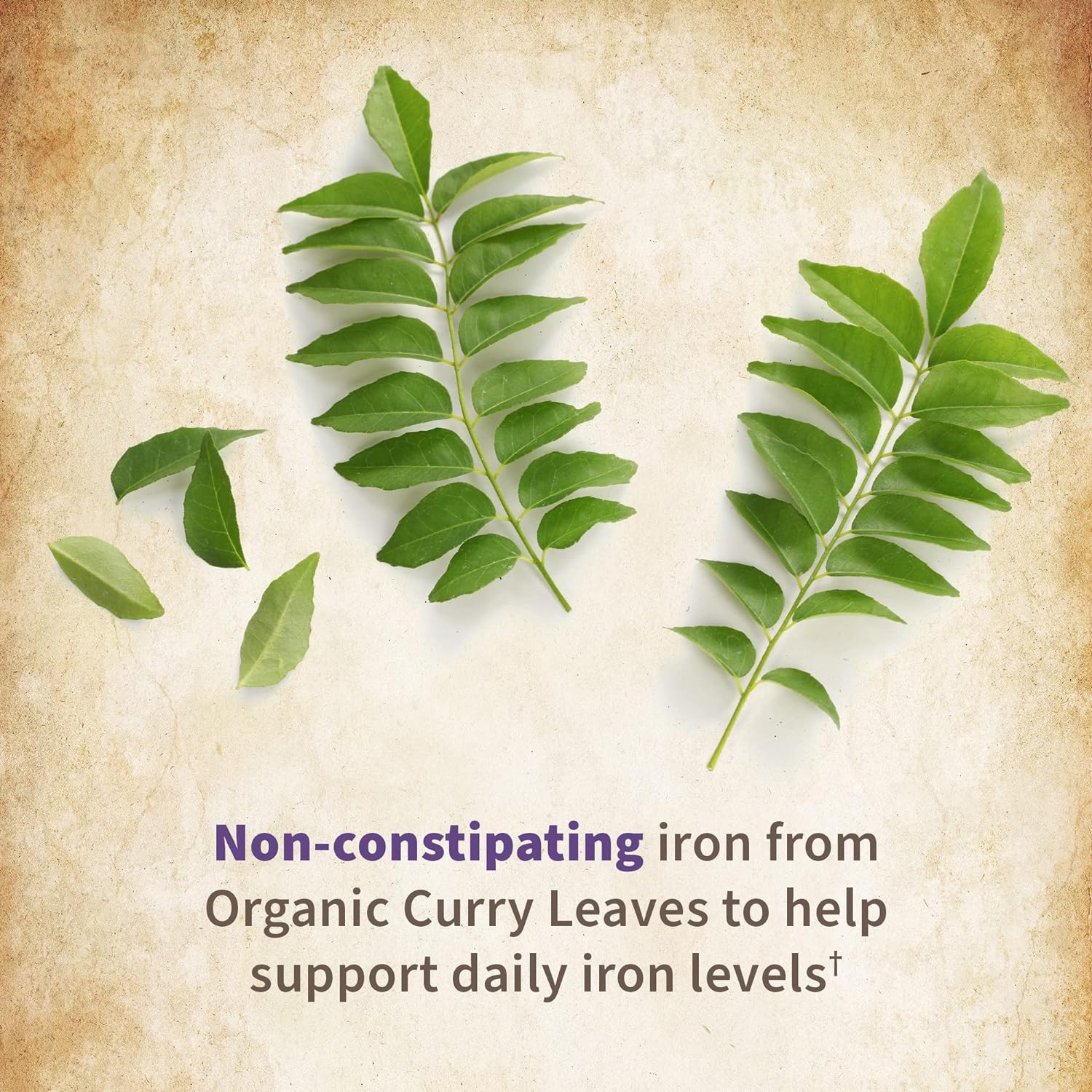 Garden of Life Organics Prenatal Vitamin: Folate for Energy & Healthy Fetal Development, Non-constipating Iron, Vitamin C, B6, B12, D3 – Organic, Non-GMO, Gluten-Free, Vegan, 90 Day Supply : Health & Household