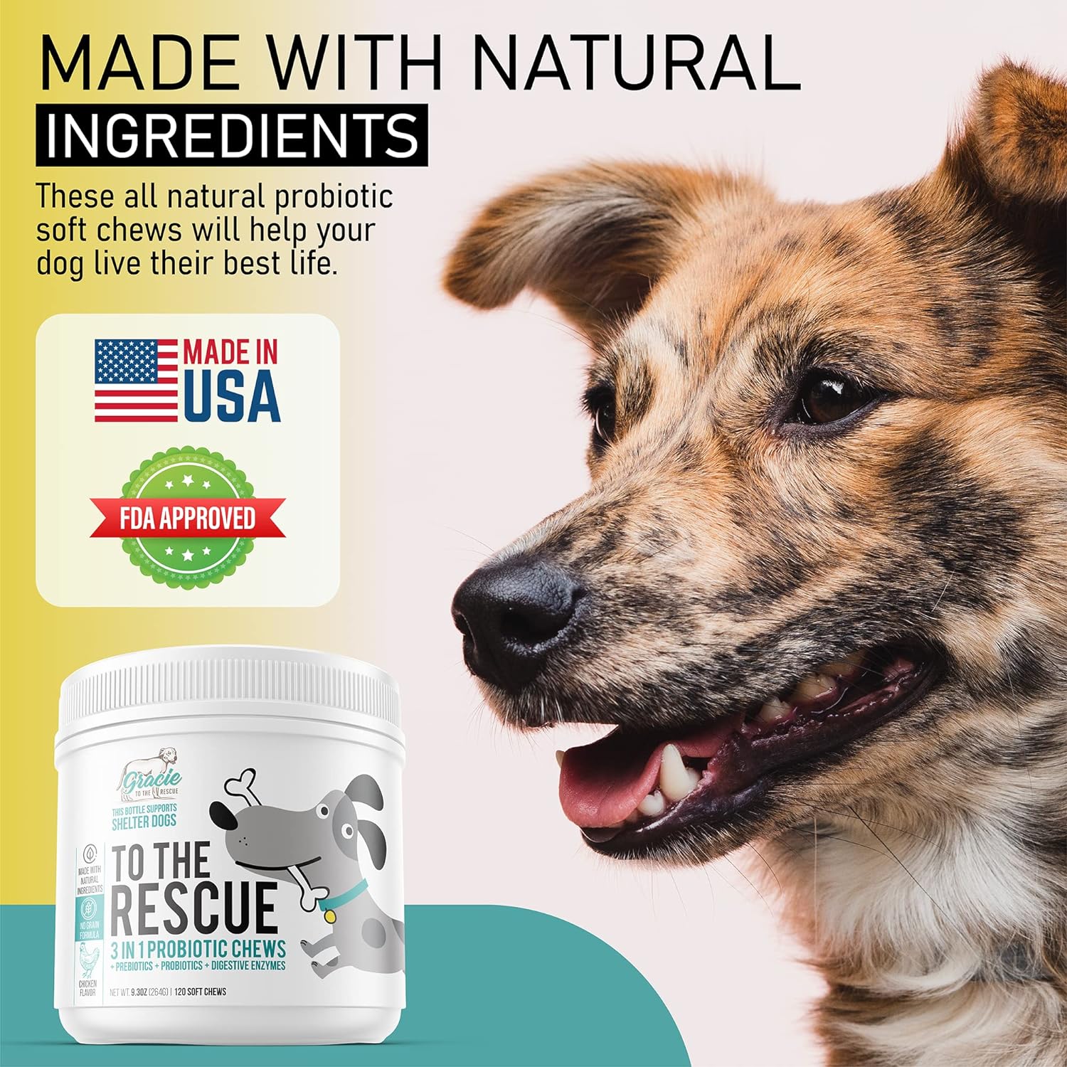 Probiotic Chews for Dogs, Support Digestive Health, Dog Probiotics and Digestive Enzymes, Dog Probiotic Chews, Probiotic Dogs, Puppy Probiotic, Pet Probiotics for Dogs - 120 Soft Chews : Pet Supplies