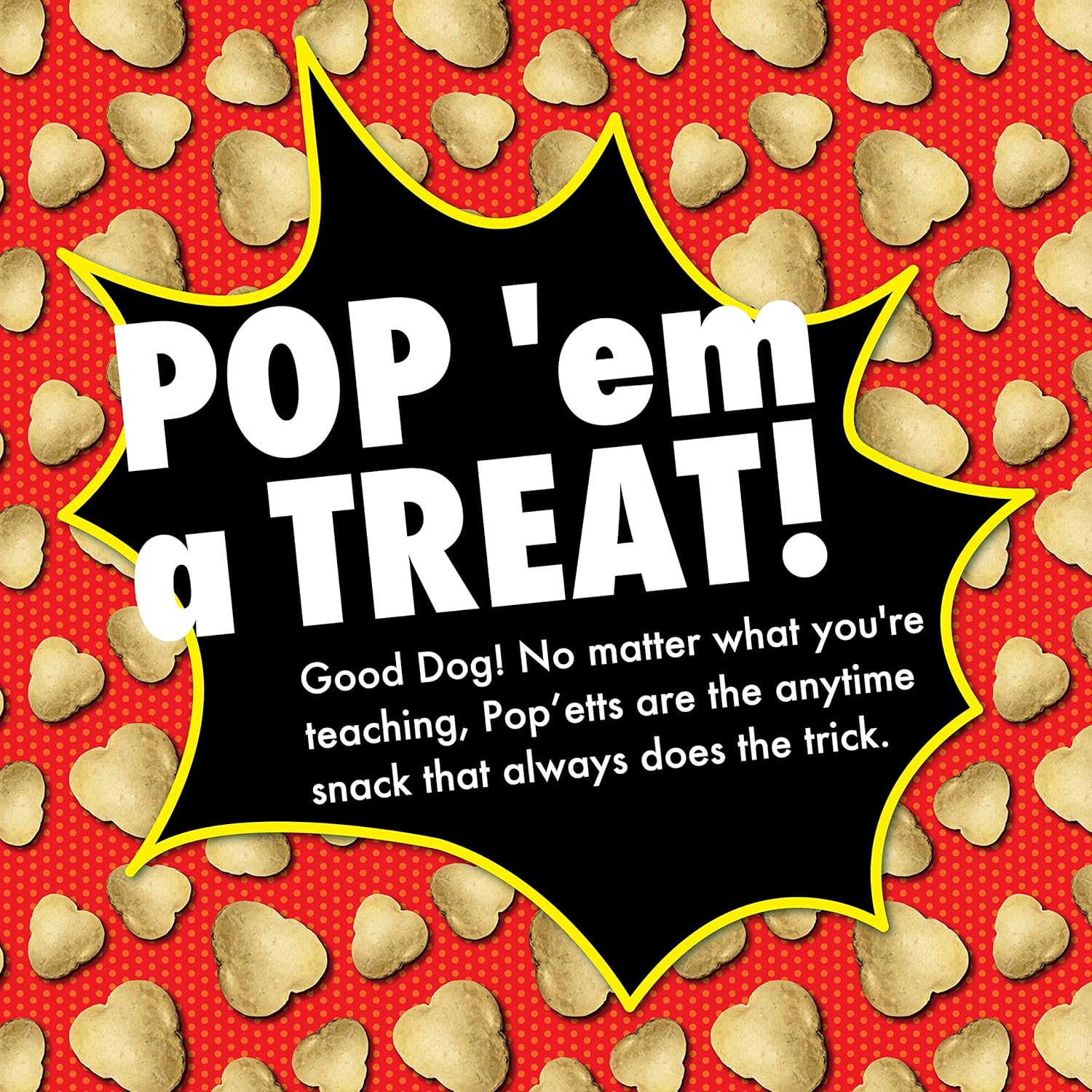 Fromm Pop'etts Kickin' Chicken Liver Cracker Dog Snacks - Premium Dog Treats - Liver Recipe - Pack of (3) 6 oz Bags : Pet Supplies