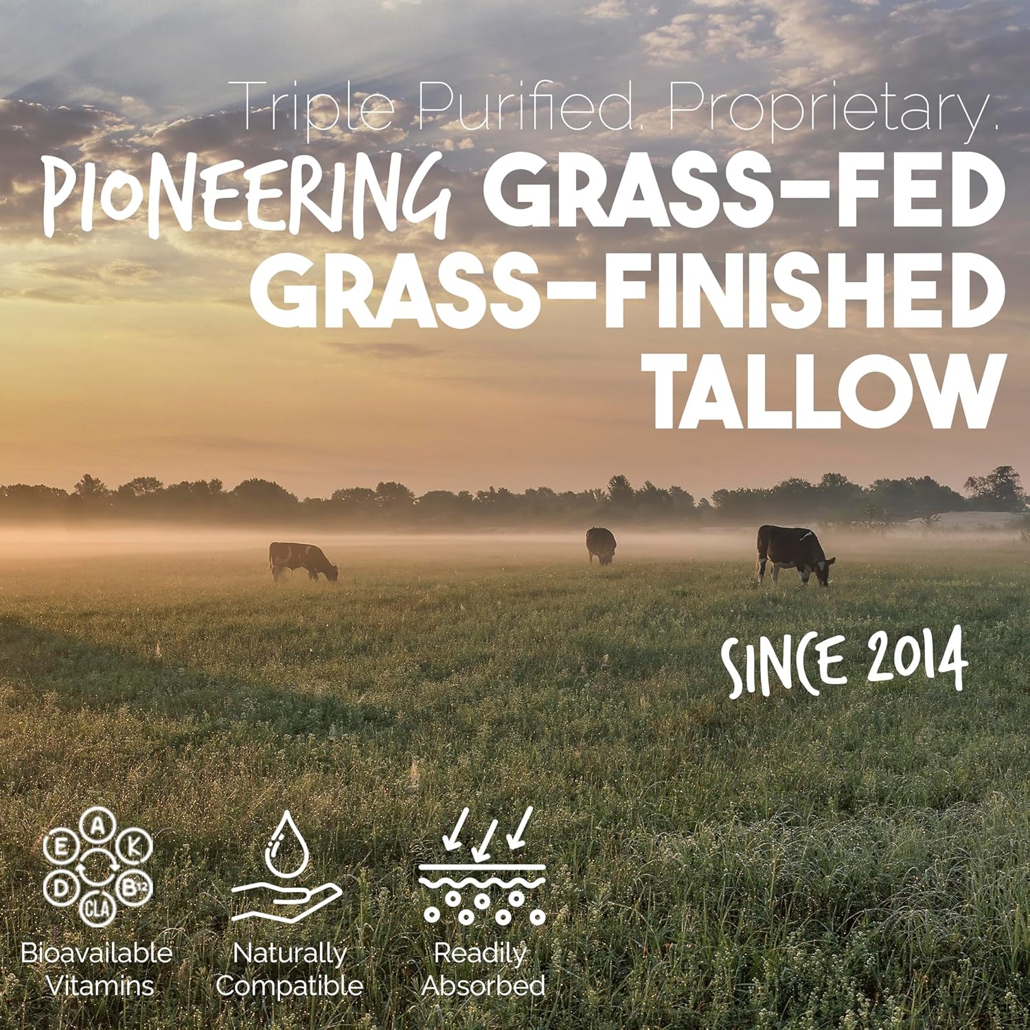 Balm Of Gilead Neuropathy Frankincense & Sweet Myrrh Therapeutic Rubbing Oil - Instant Diabetic'S & Autoimmune Dry Skin Relief & Repair, 2 Fl Oz : Beauty & Personal Care