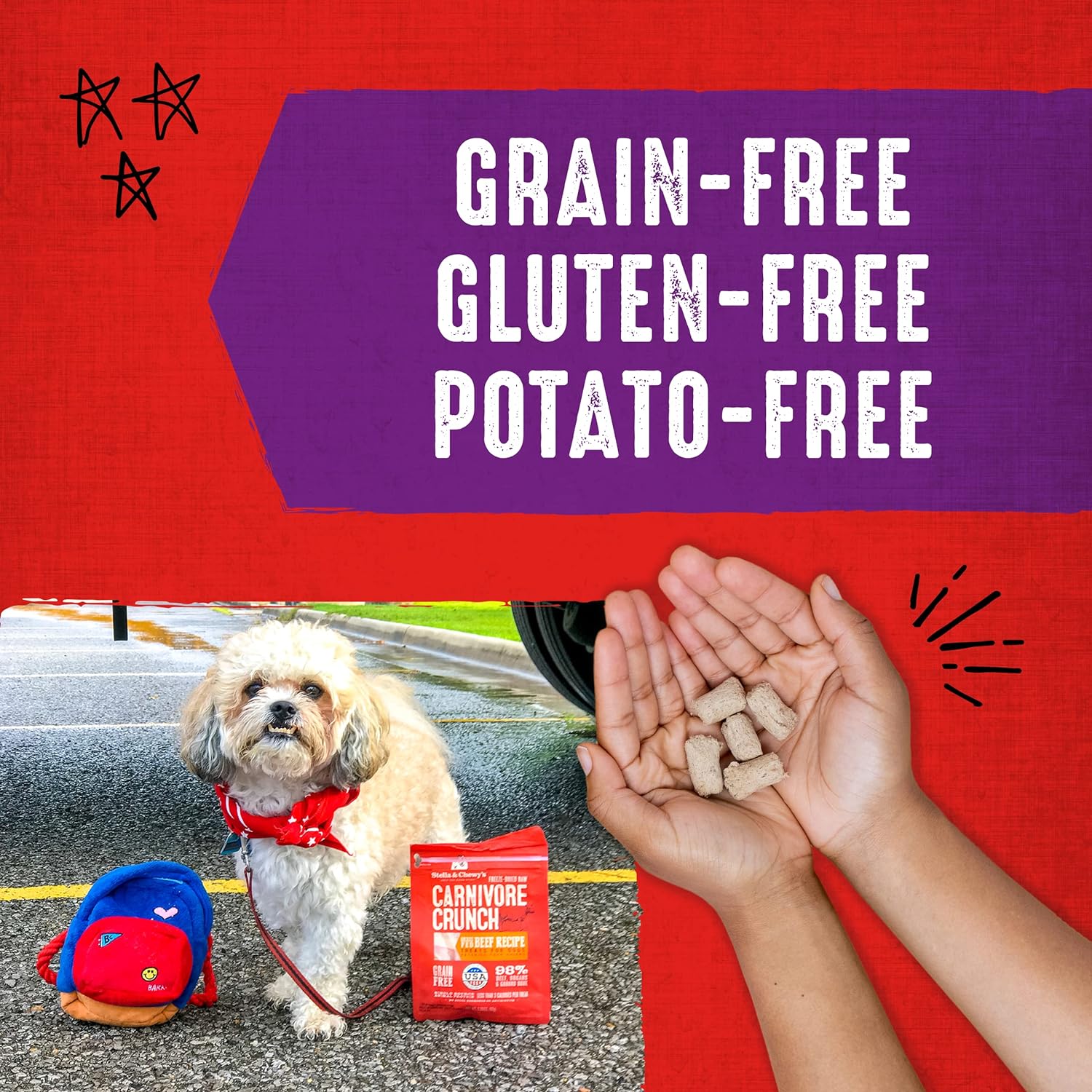 Stella & Chewy's Freeze-Dried Raw Carnivore Crunch Cage-Free Turkey Recipe Dog Treats – 3.25 oz. Bag : Pet Snack Treats : Pet Supplies