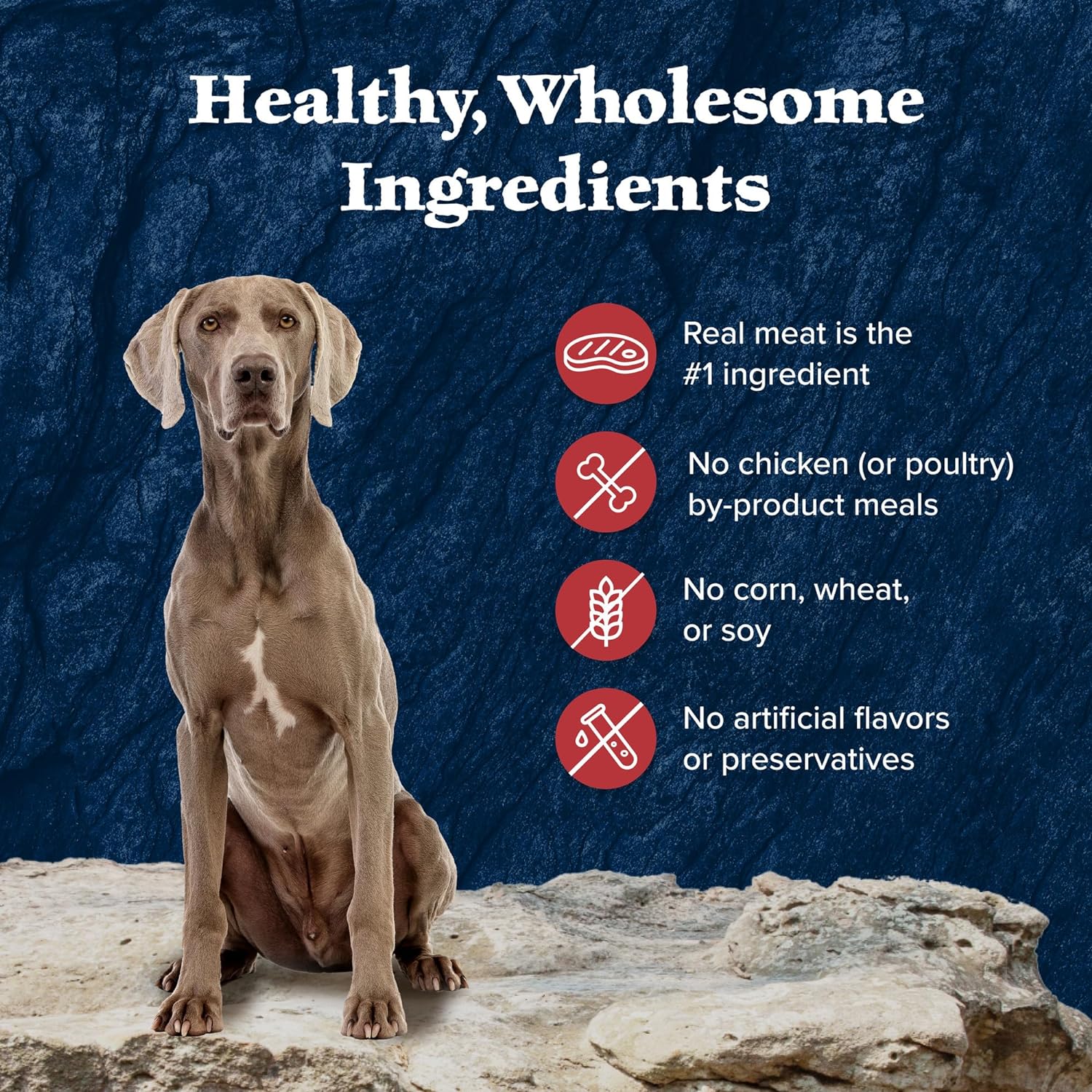 Blue Buffalo Wilderness Rocky Mountain Recipe Senior Wet Dog Food, High-Protein & Grain-Free, Made with Natural Ingredients, Red Meat Recipe, 12.5-oz. Cans (12 Count)