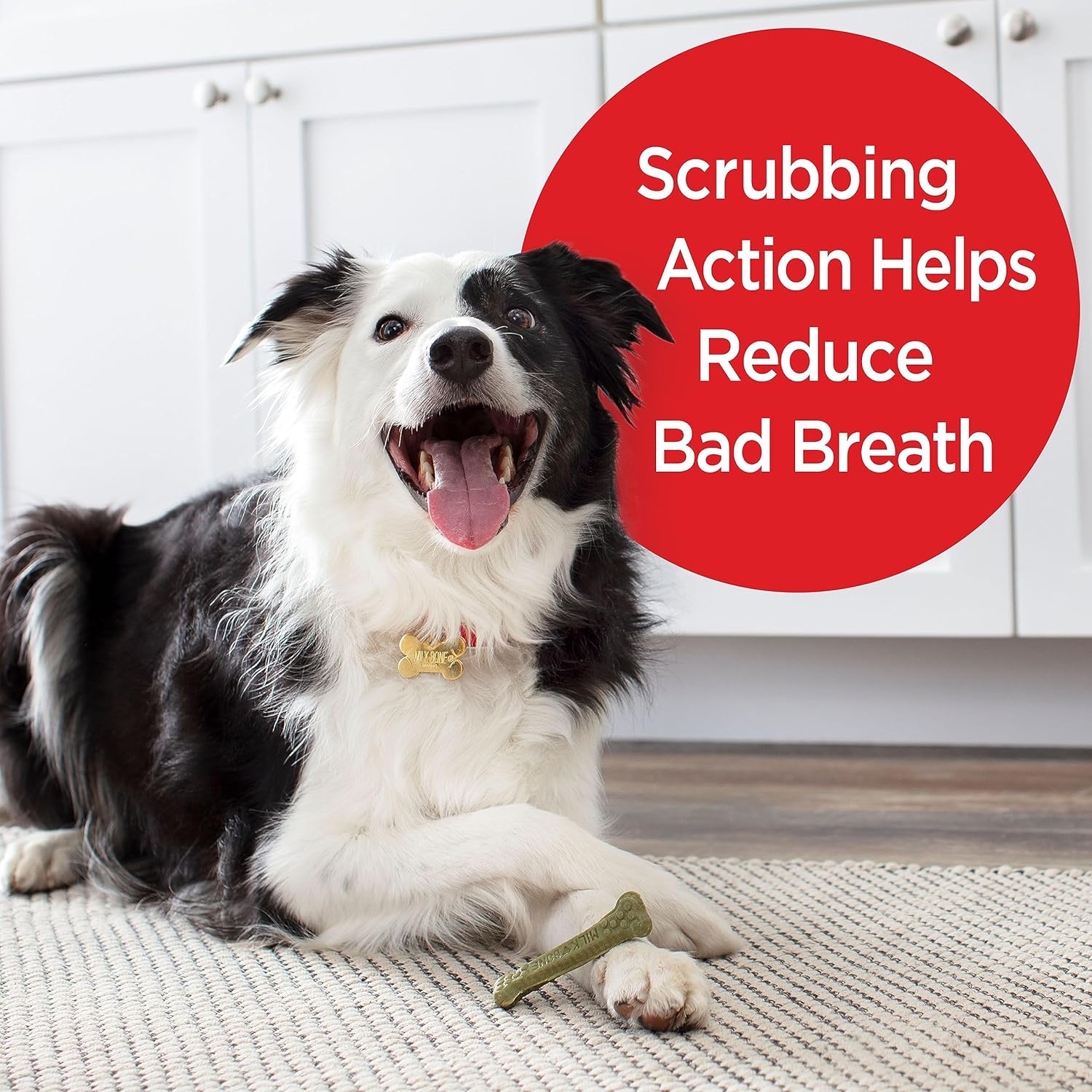 Milk-Bone Fresh Breath Brushing Chews, 9 Small/ Medium Daily Dental Dog Treats (Pack of 5) Scrubbing Action Helps Clean Teeth : Pet Supplies