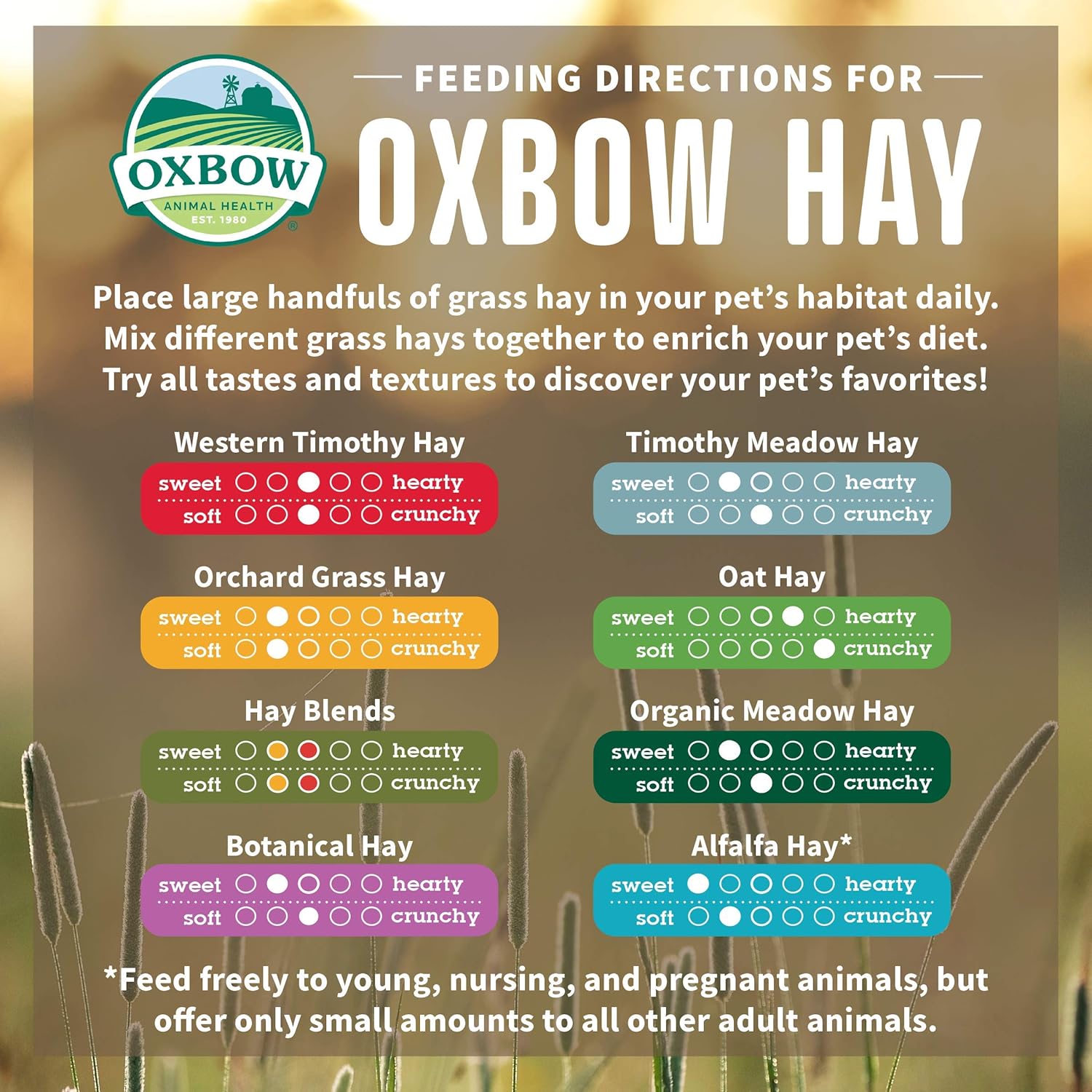 Oxbow Animal Health Organic Meadow Hay, For Rabbits, Guinea Pigs, And Small Pets, Grown In The USA, Farm Fresh, 15 Ounce : Pet Food : Pet Supplies