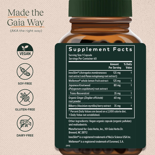 Gaia Herbs Metabolic Activator - Natural Energy Supplement For Metabolism Support - Made With Panax Notoginseng & Astragalus Extract - Free From Dairy, Soy & Gluten - 60 Capsules (60 Servings)