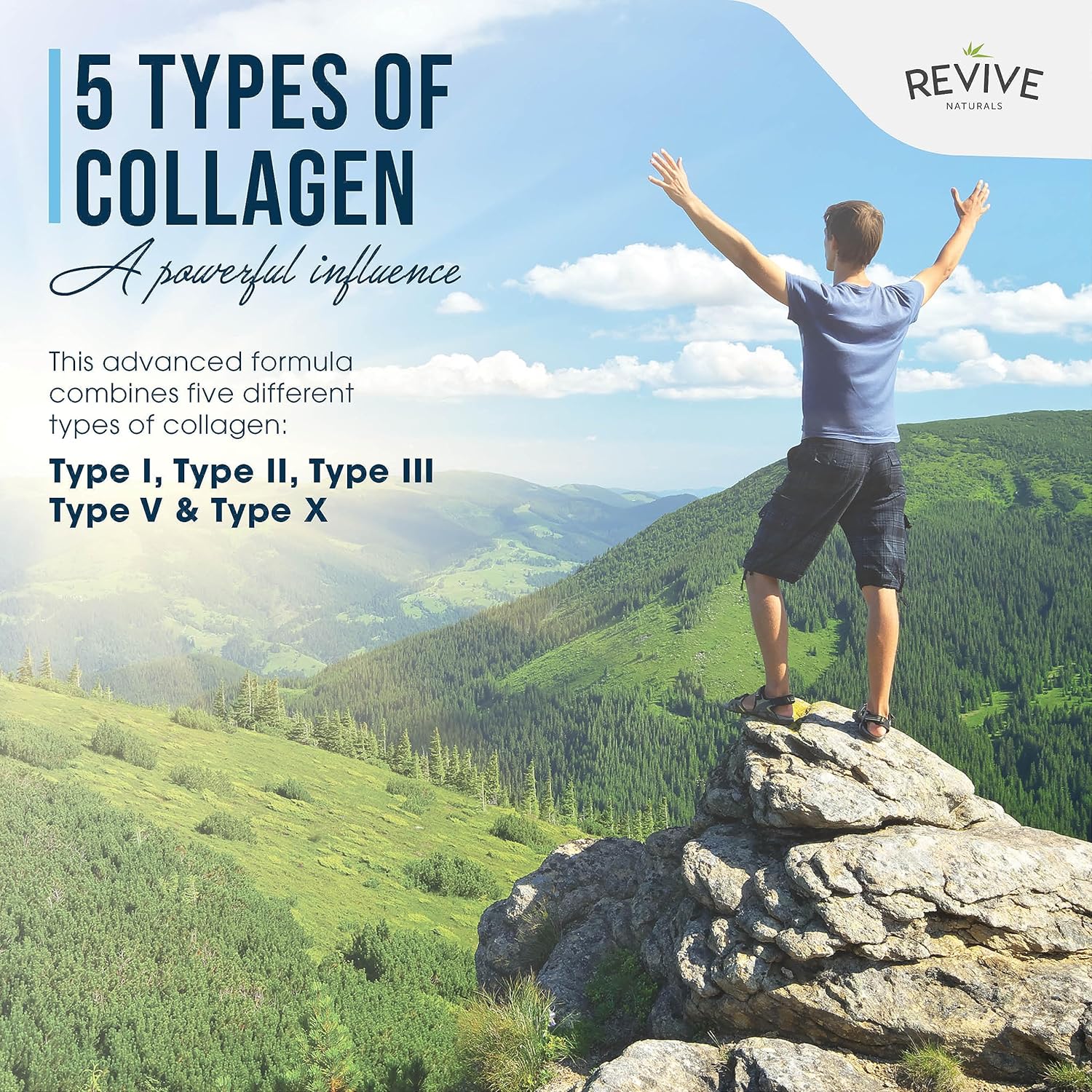 Revive Naturals Multi Collagen Hydrolyzed Protein Powder (16Oz) - Types I, Ii, Iii, V & X - Grass Fed Bovine, Wild Caught Marine, Free Roaming Chicken & Eggshell Collagen Peptides, : Health & Household